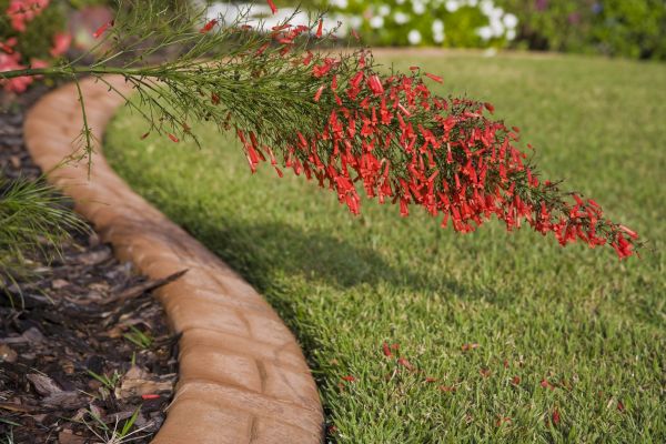 Brick Edging in Valparaiso